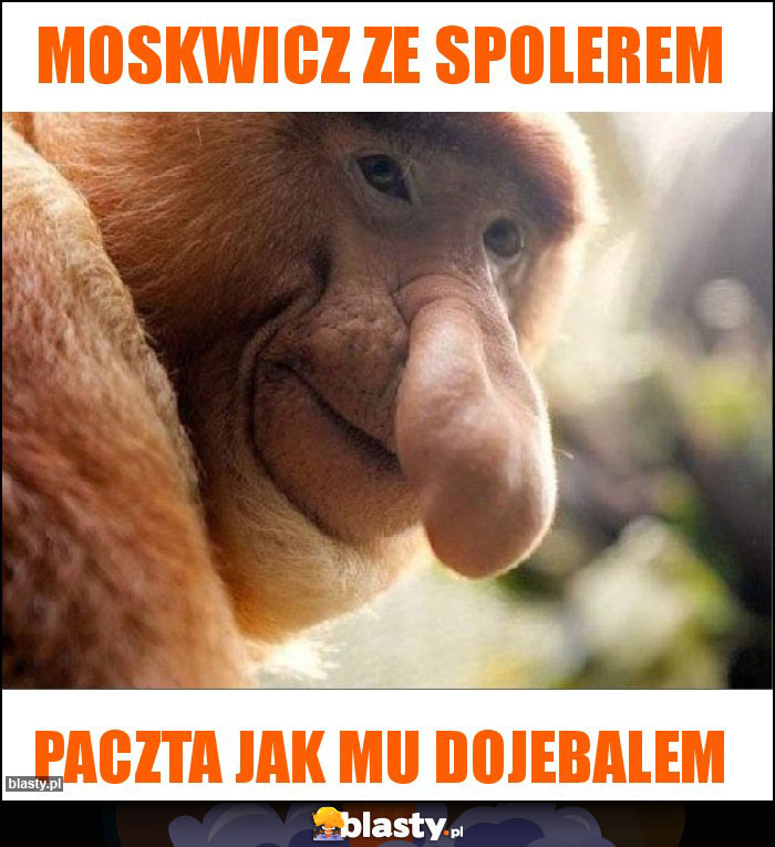 MOSKWICZ ZE SPOLEREM