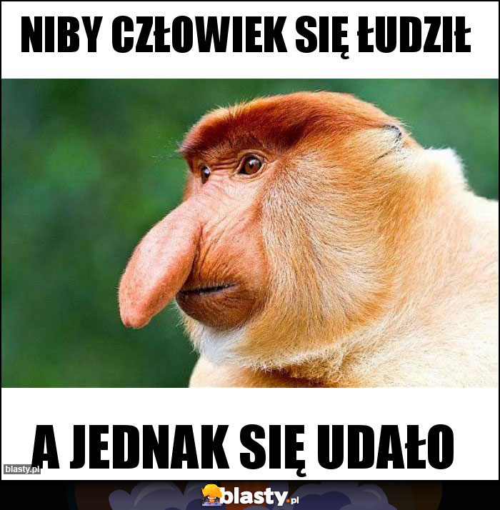 Niby człowiek się łudził