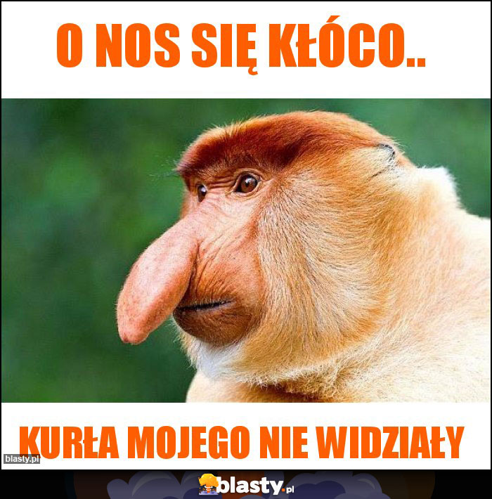 O nos się kłóco..