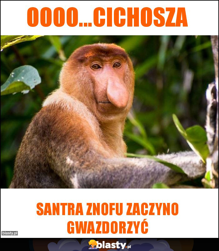 Oooo...cichosza