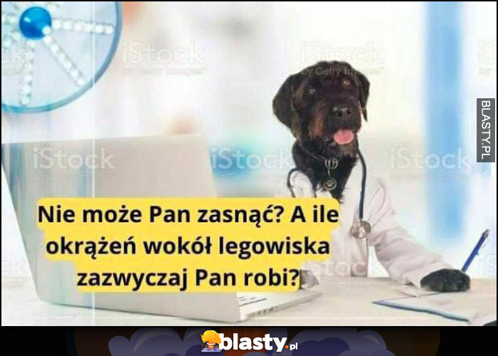 Pies lekarz doktor: nie może Pan zasnąć? A ile okrążeń wokół legowiska zawyczaj Pan robi