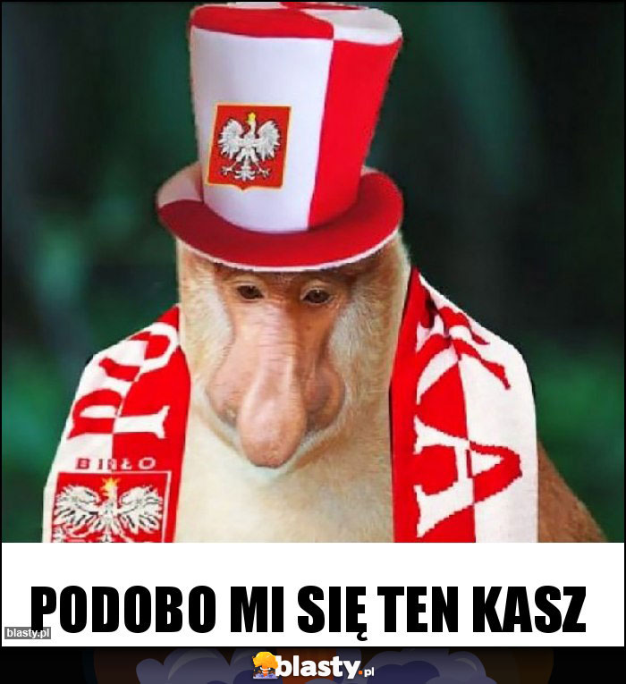 Podobo mi się ten kasz