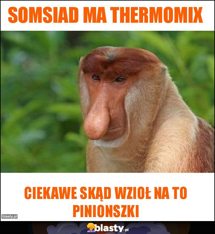 Somsiad ma Thermomix