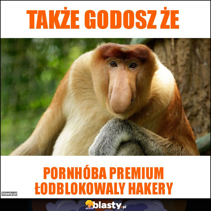 Także godosz że