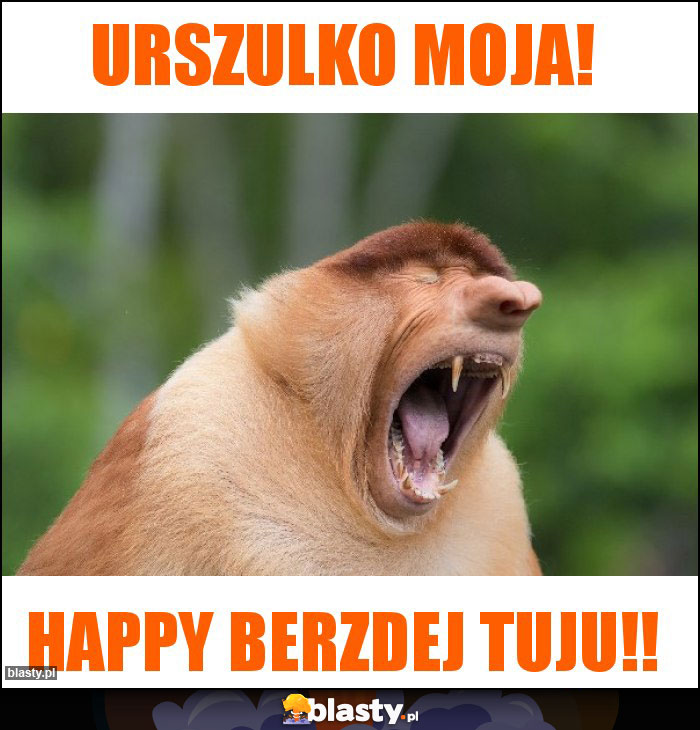 Urszulko moja!