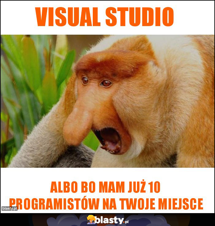 Visual studio