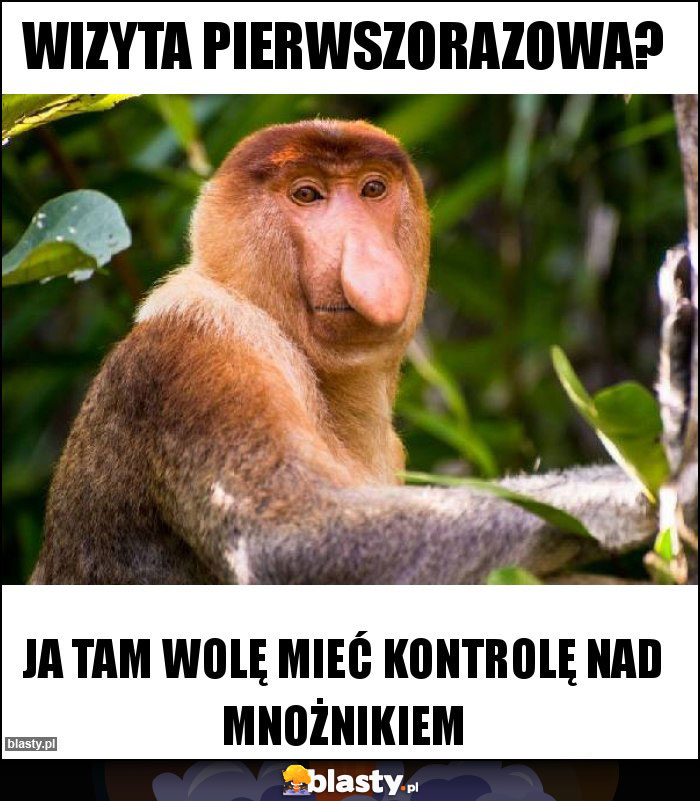 Wizyta pierwszorazowa?