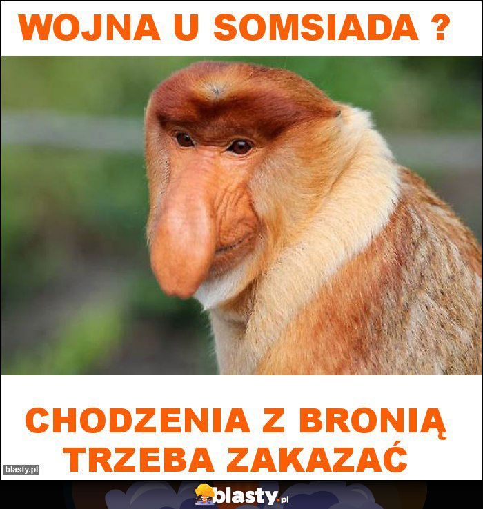 Wojna u somsiada ?