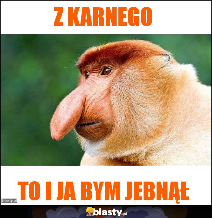 Z karnego