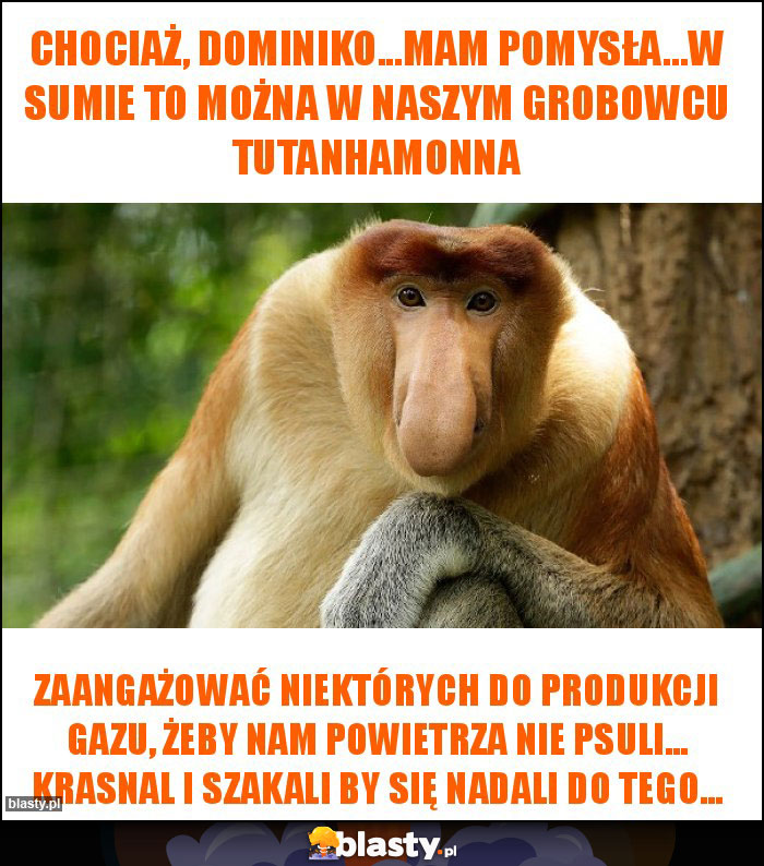 Chociaż, Dominiko...MAM POMYSŁA...W sumie to można w naszym grobowcu Tutanhamonna