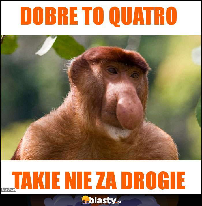 Dobre to quatro