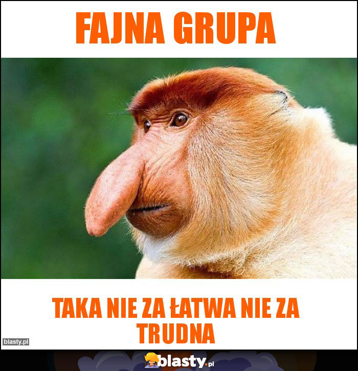 Fajna grupa