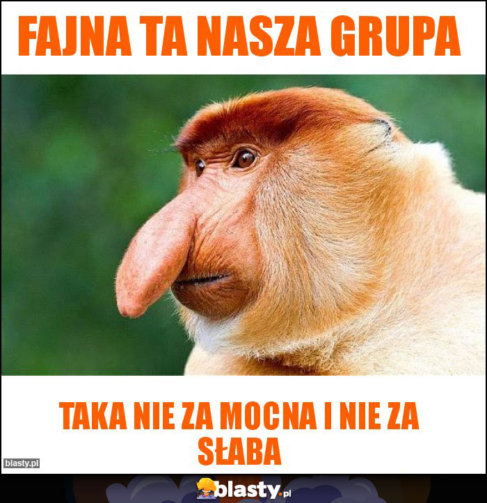 Fajna ta nasza grupa