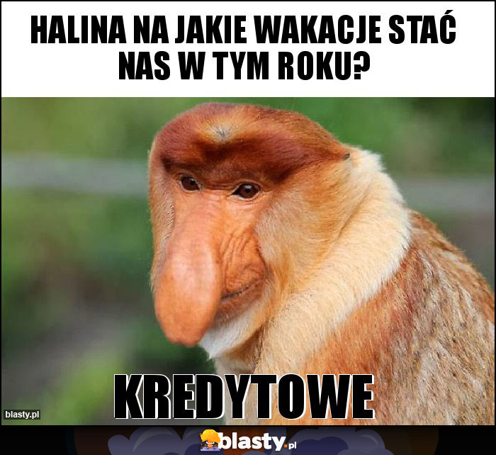 Halina na jakie wakacje stać nas w tym roku?