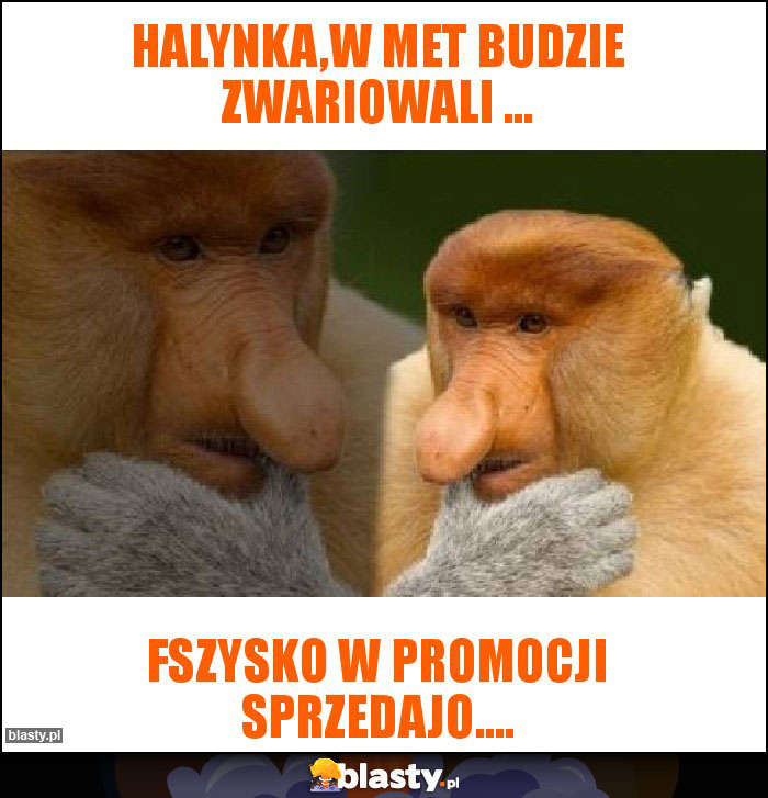 Halynka,w Met budzie zwariowali ...