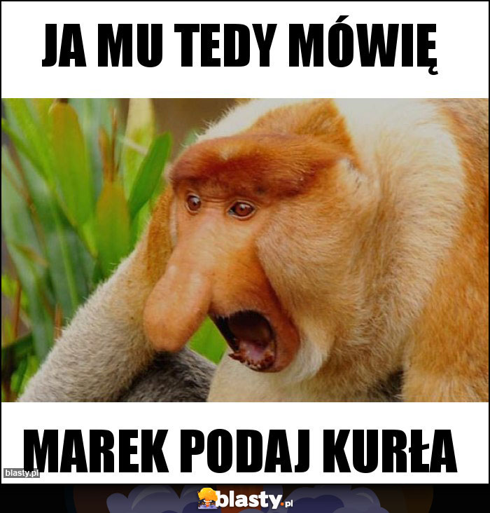 Ja mu tedy mówię