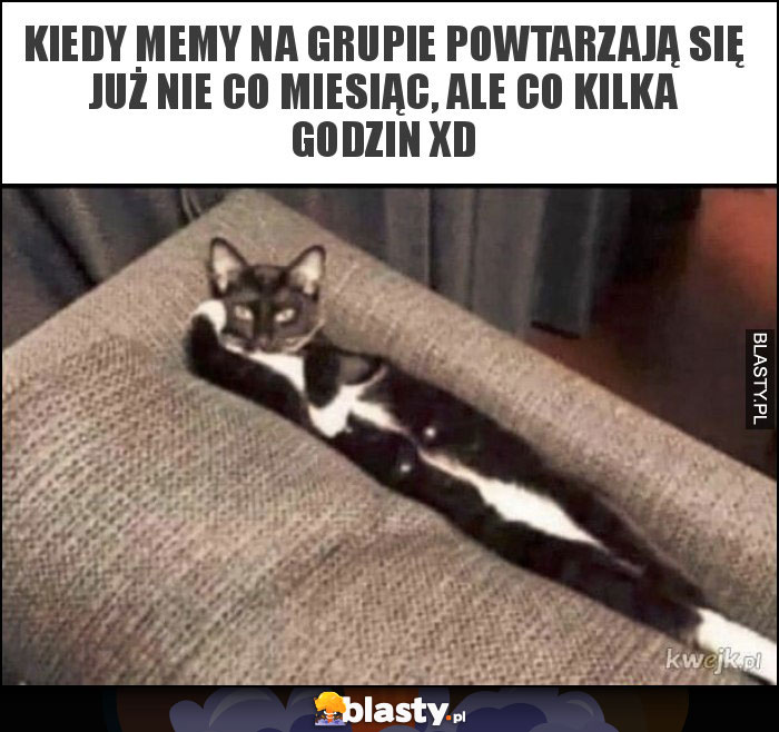 Kiedy memy na grupie powtarzają się już nie co miesiąc, ale co kilka godzin XD