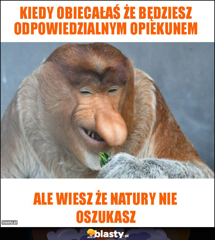 Kiedy obiecałaś że będziesz odpowiedzialnym opiekunem