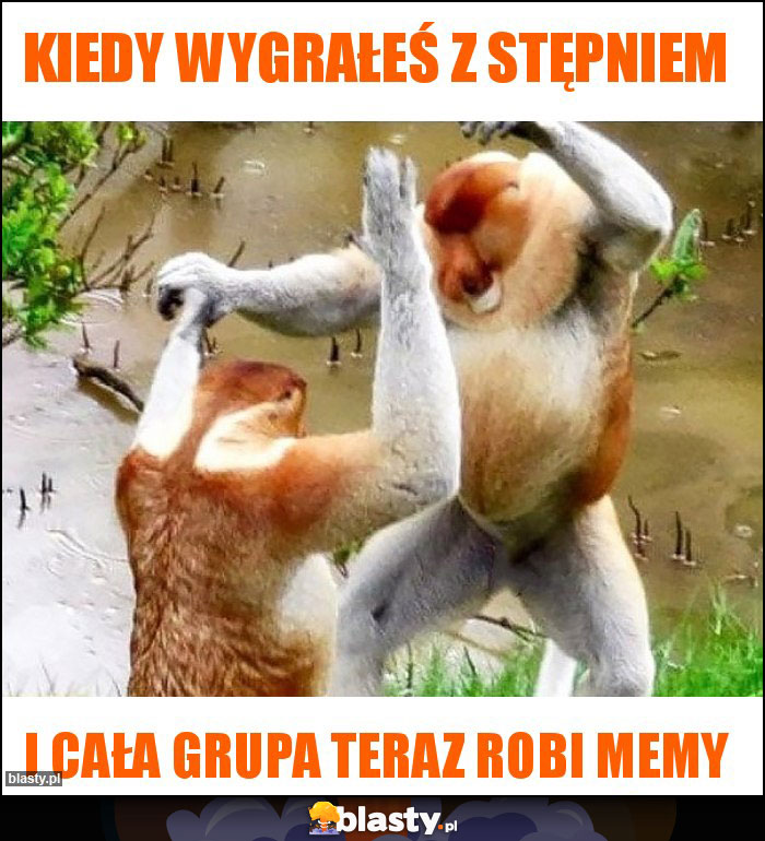 Kiedy wygrałeś z Stępniem