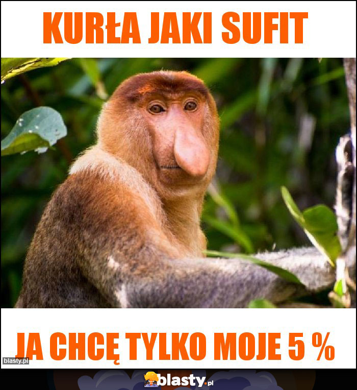 Kurła jaki sufit