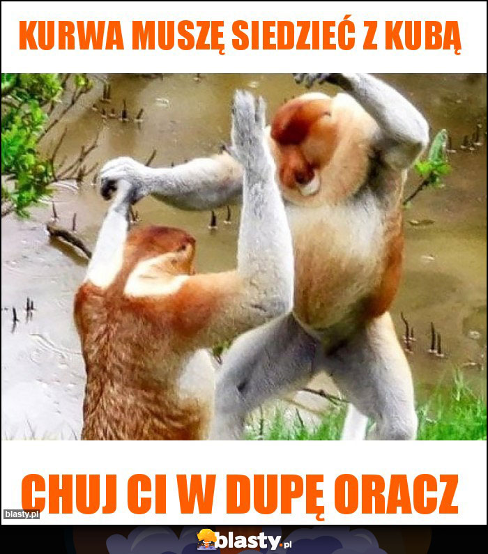 Kurwa muszę siedzieć z Kubą