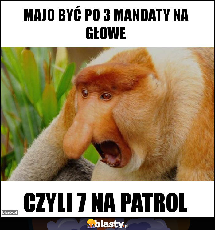 Majo być po 3 mandaty na głowe