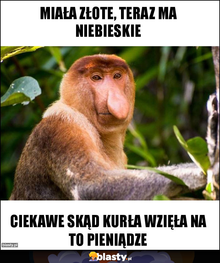 Miała złote, teraz ma niebieskie