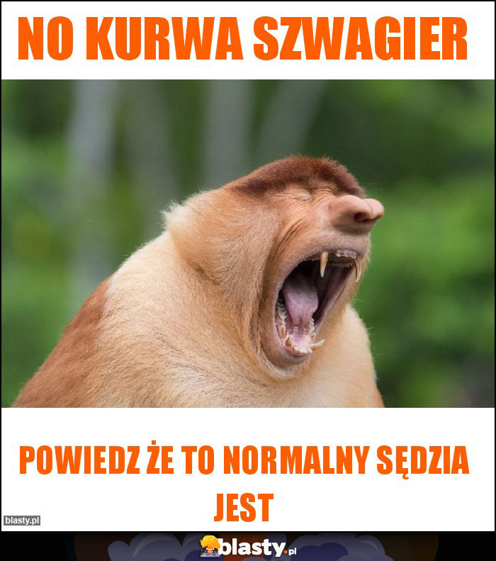 NO KURWA SZWAGIER