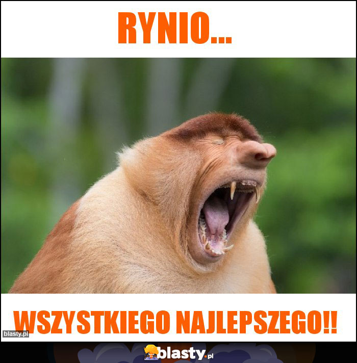 Rynio...