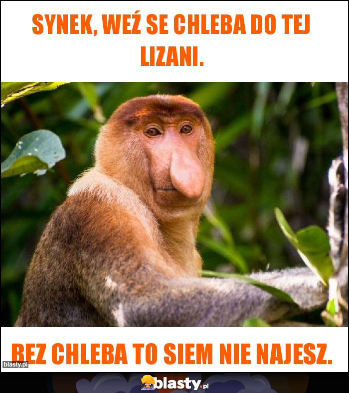 Synek, weź se chleba do tej lizani.