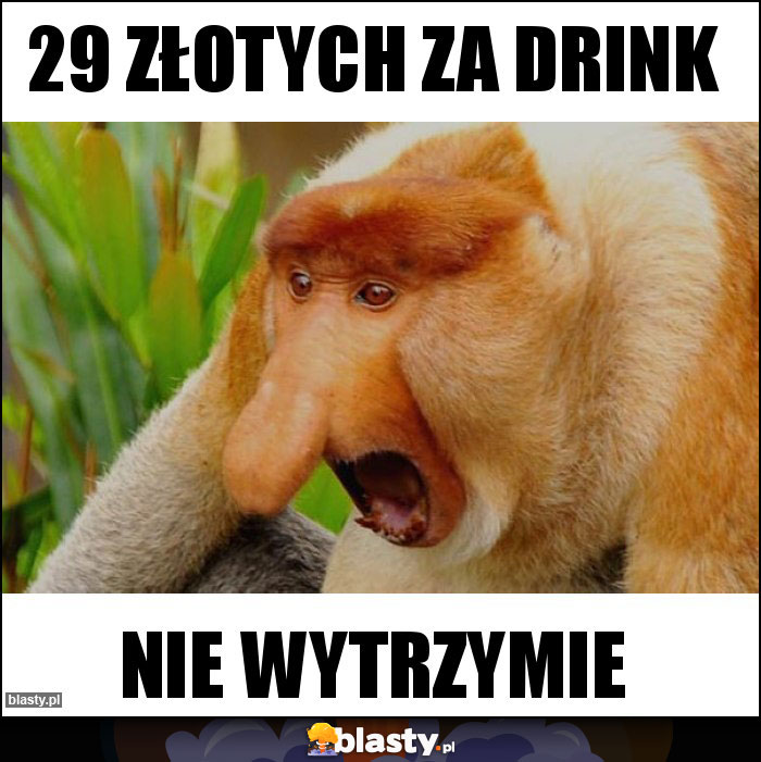 29 złotych za drink