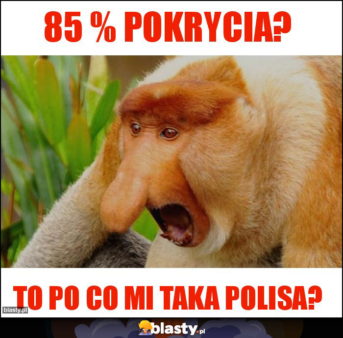 85 % pokrycia?