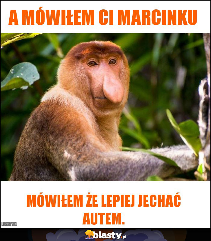 A mówiłem ci Marcinku