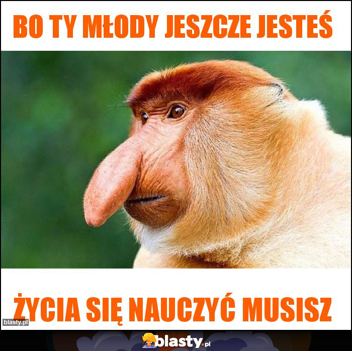 Bo ty młody jeszcze jesteś