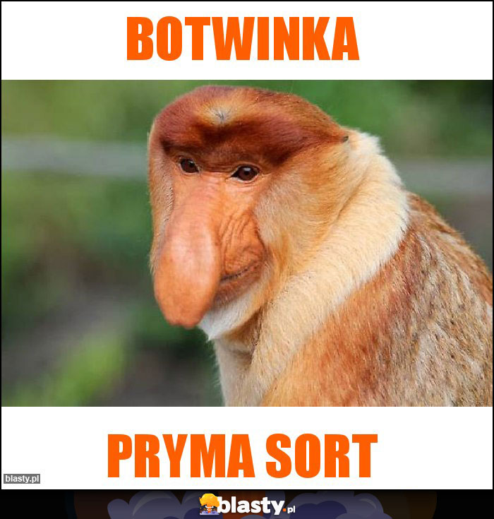 BOTWINKA