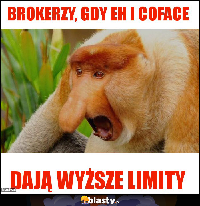 Brokerzy, gdy EH i Coface