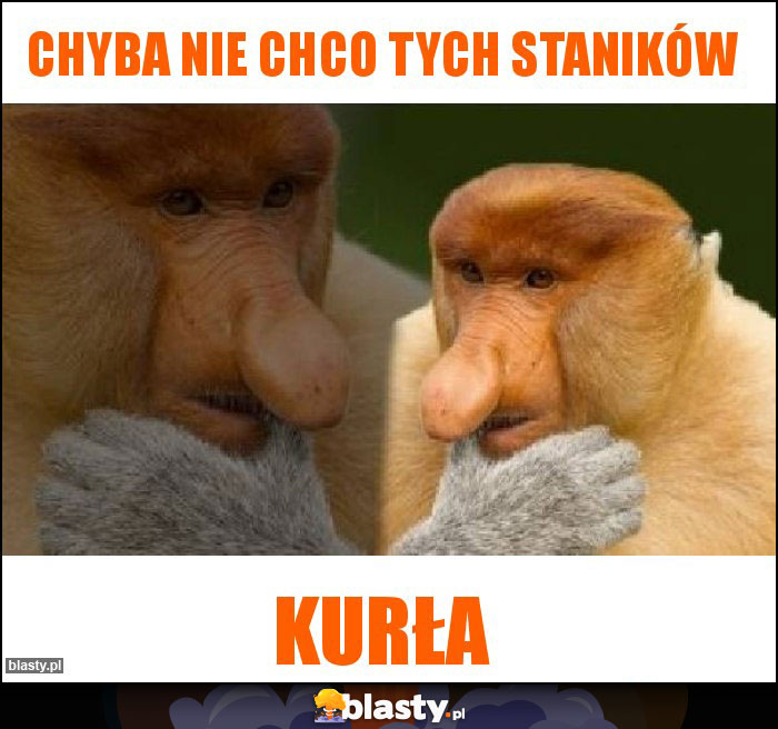 Chyba nie chco tych staników