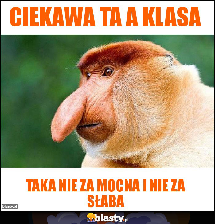 Ciekawa ta A Klasa