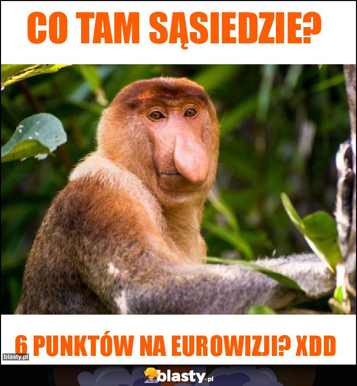 Co tam sąsiedzie?