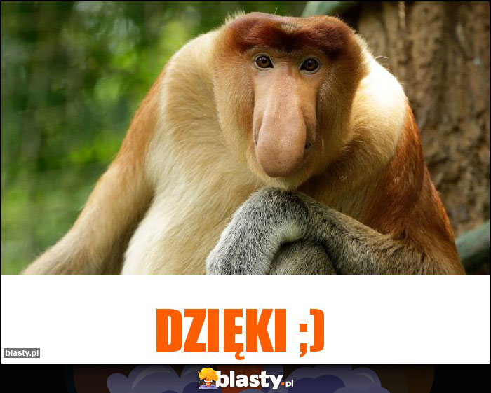 Dzięki ;)