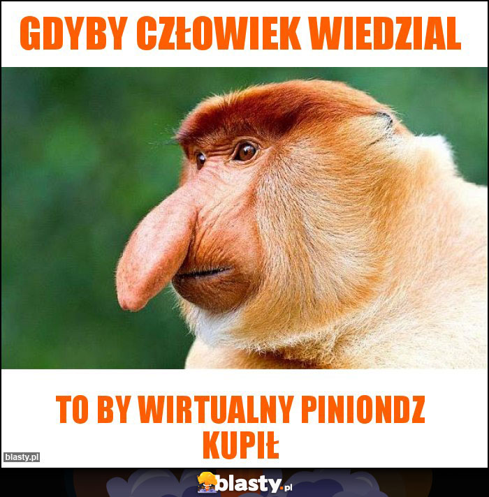 Gdyby człowiek wiedzial