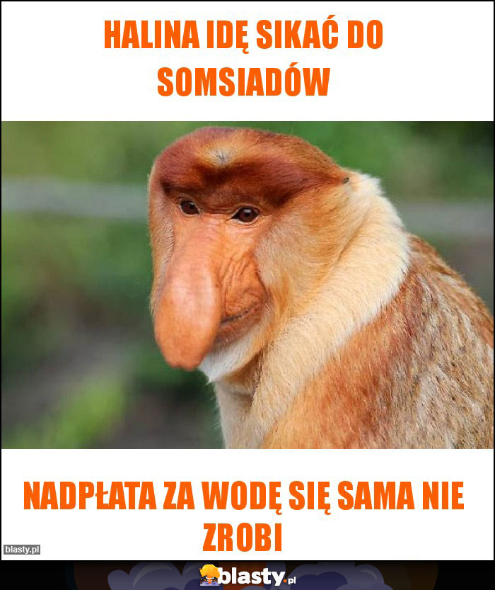 Halina idę sikać do somsiadów