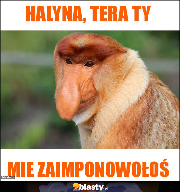 Halyna, tera Ty