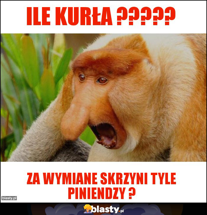 Ile kurła ?????