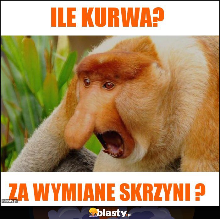 Ile kurwa?