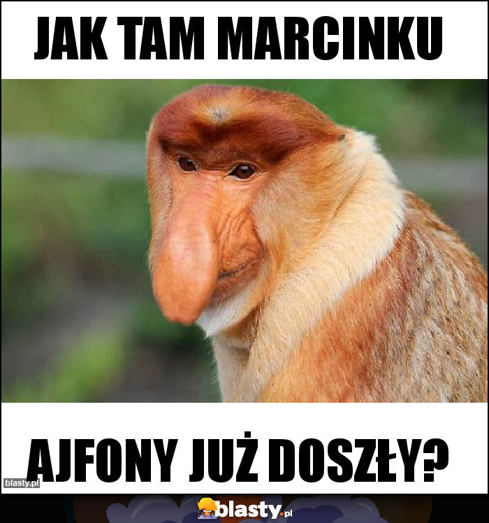 Jak tam marcinku