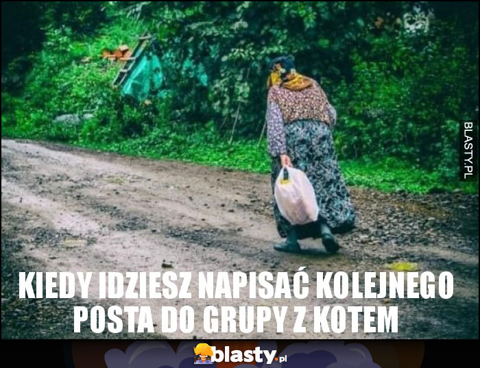 Kiedy idziesz napisać kolejnego posta do grupy z kotem