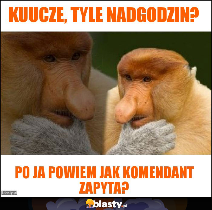 Kuucze, tyle nadgodzin?