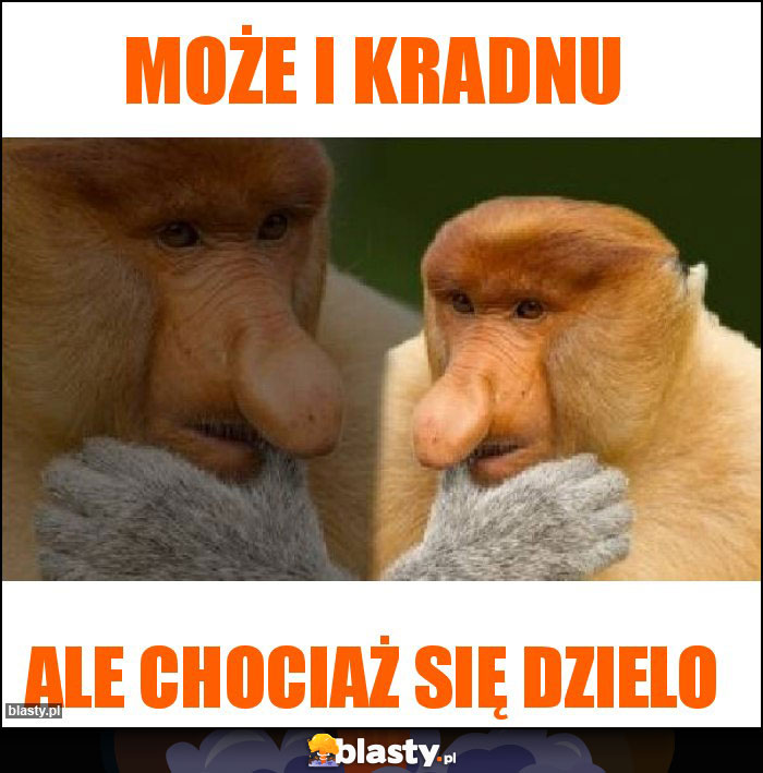 Może i kradnu