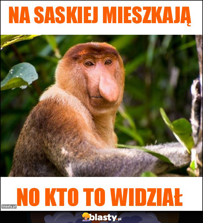 Na Saskiej mieszkają